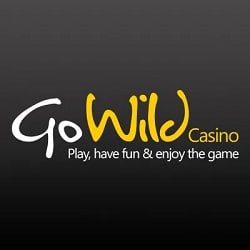 Gowild Casino banner new