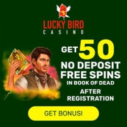 Get Free Bonus!