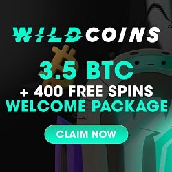 WildCoins Bonus New Player