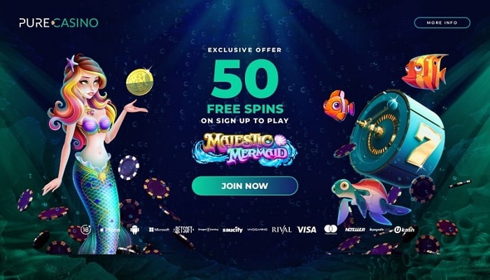 Exclusive Free Spins