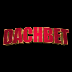 Dachbet Casino image logo