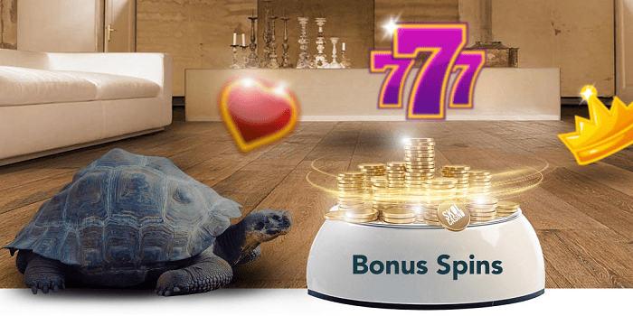 Get Free Bonus Spins! 